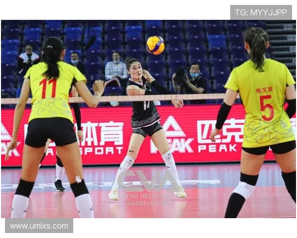 上海排球队的节奏革新探索与发展之路全面解析