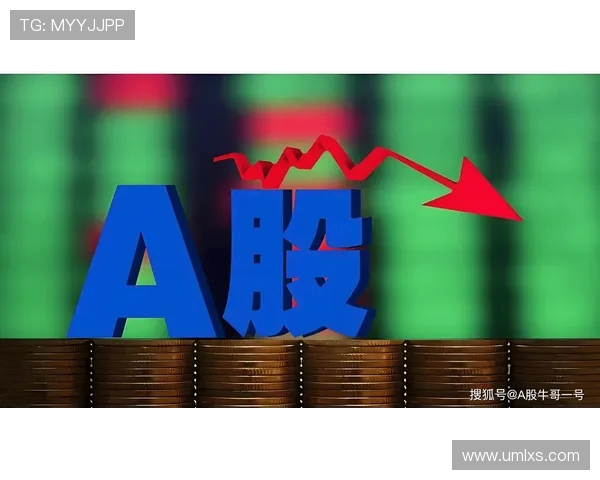 成都排球队在钻石联赛中的团队协作表现分析与点评