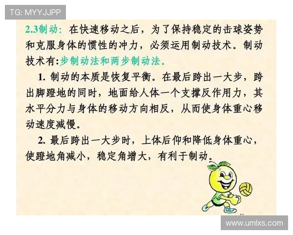 杭州排球队在邀请赛中的战术表现分析与点评