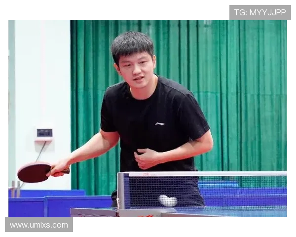 深圳乒乓球队耐力表现的数据分析与训练策略探讨