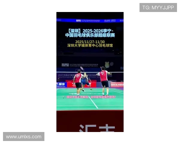 深圳羽毛球队在羽毛球比赛经验排行榜中荣获第4名的辉煌成就