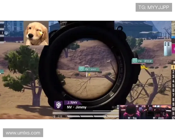 热议和平精英TES战队如何通过比赛经验变革提升竞技水平