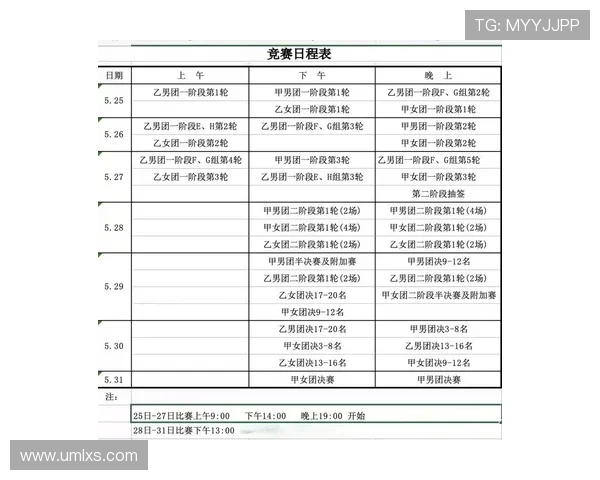 西安羽毛球队的深度解析与控制策略探讨