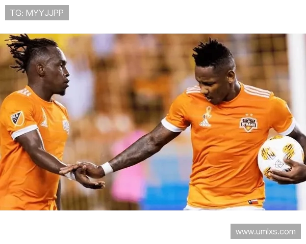 悉尼与惠灵顿凤凰对决前瞻及比分预测分析，谁将赢得胜利