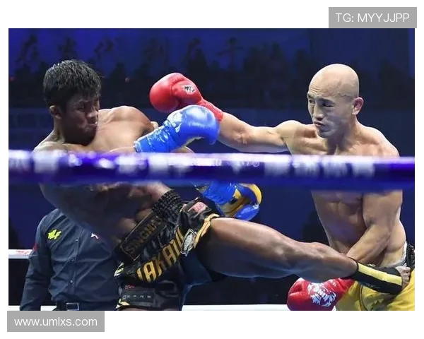 播求与韦恩巅峰对决回顾分析揭示战术与技巧的较量