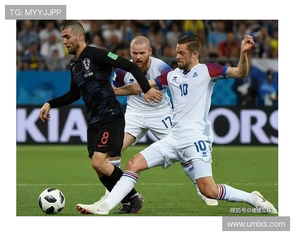 爱尔兰与芬兰激战正酣比赛直播全程回顾与精彩瞬间分析