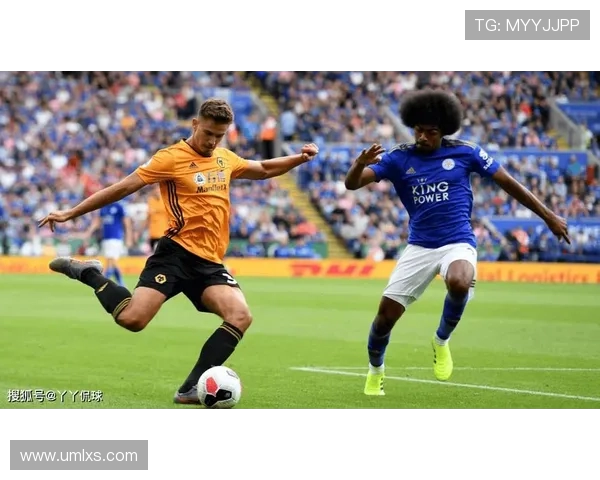 莱斯特城与狼队精彩对决集锦回顾赛场瞬间尽显足球魅力与激情 莱斯特城与狼队精彩对决集锦回顾赛场瞬间尽显足球魅力与激情