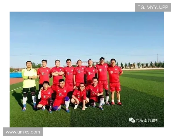 成都足球队杯赛中的团队协作表现分析与评价探讨