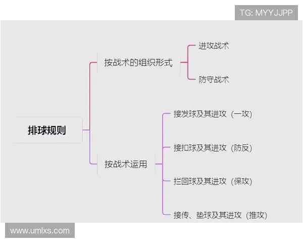 杭州排球队进攻策略全解析揭秘排球深度与战术运用