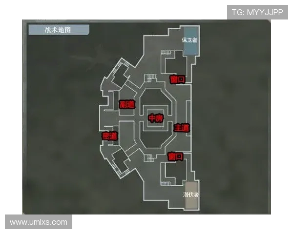 深入探讨FPX战队在DOTA2中的团队配合与战术执行分析