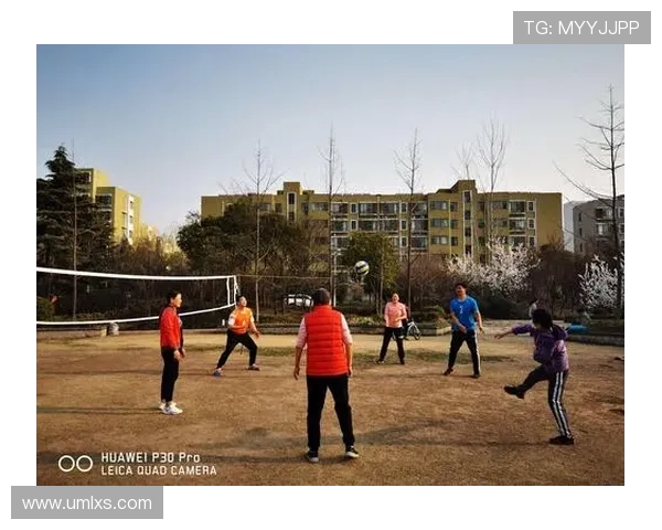 深度对话杨磊排球人生的成长与挑战之路探索