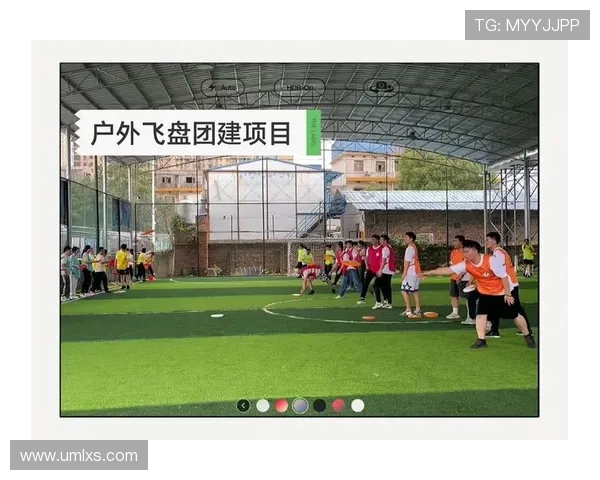 深圳飞盘队引领最新飞盘团队协作排名前十的精彩表现与发展趋势