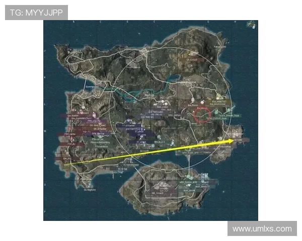 独家分析：V5战队配合策略与其他战队的深度对比解析