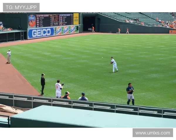 陈伟篮球生涯回顾与展望：从球场到人生的精彩对话