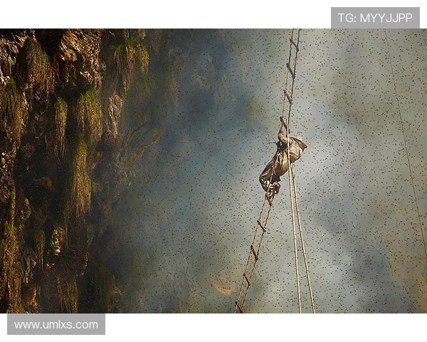 南京攀岩队包夹革新之路探索与实践的深度剖析