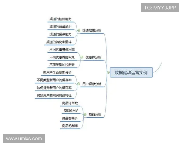 成都乒乓球队意识表现的全面数据分析与深度解读