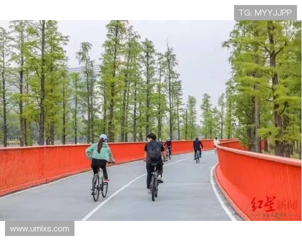 成都排球队转型之路的挑战与机遇全景观察