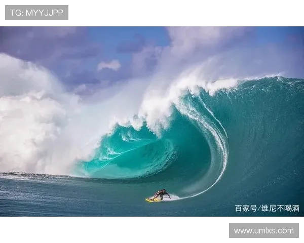 成都极限运动队个人能力表现数据分析与提升策略探讨